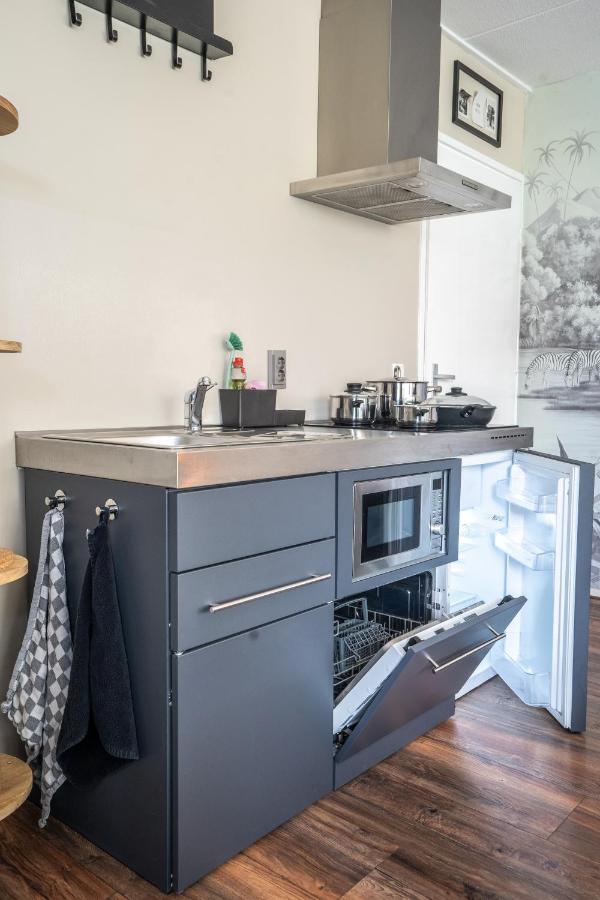 The Lion King - 6 Person Linked Apartment With Roof Terrace 흐로닝언 외부 사진