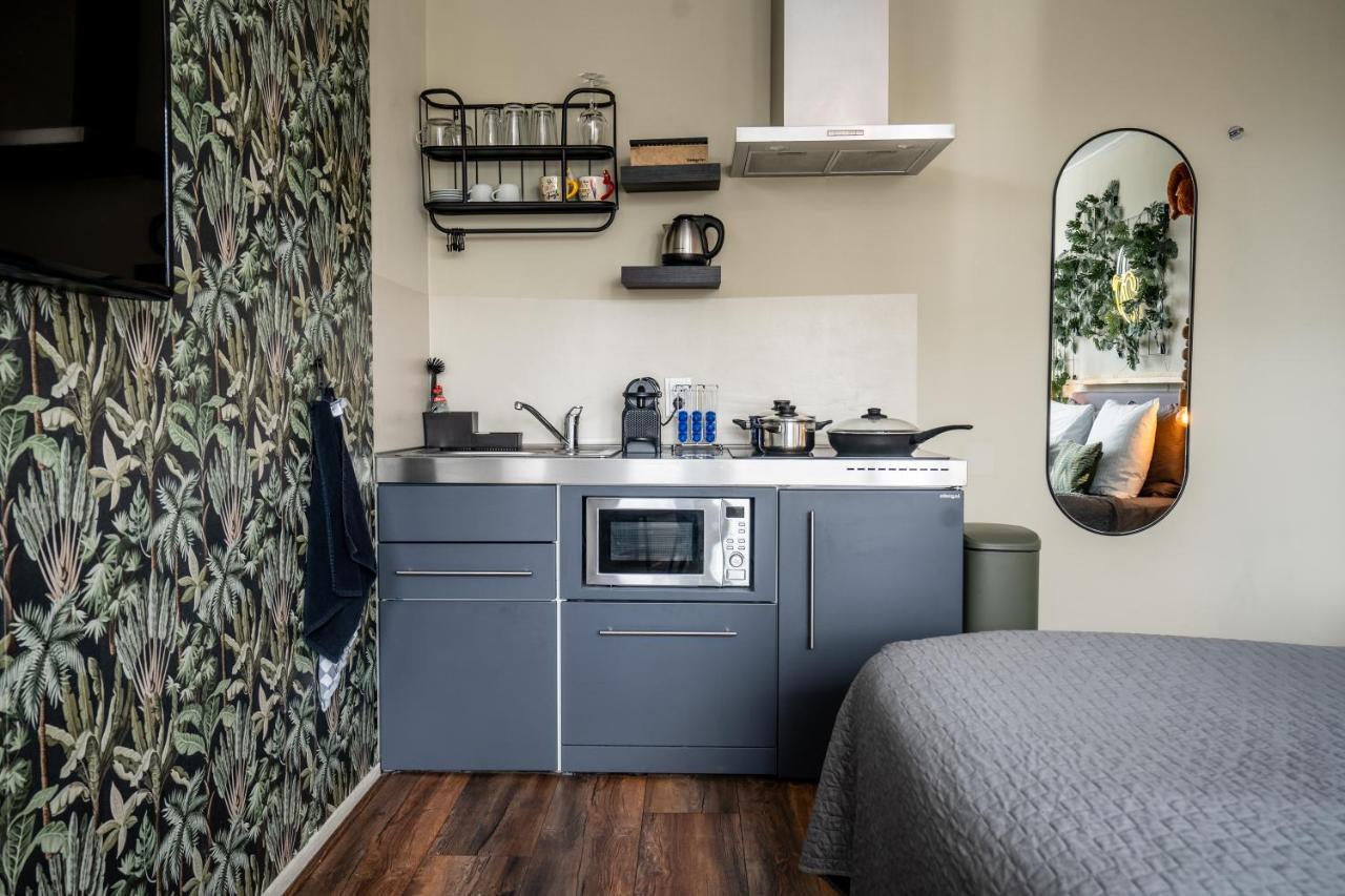 The Lion King - 6 Person Linked Apartment With Roof Terrace 흐로닝언 외부 사진