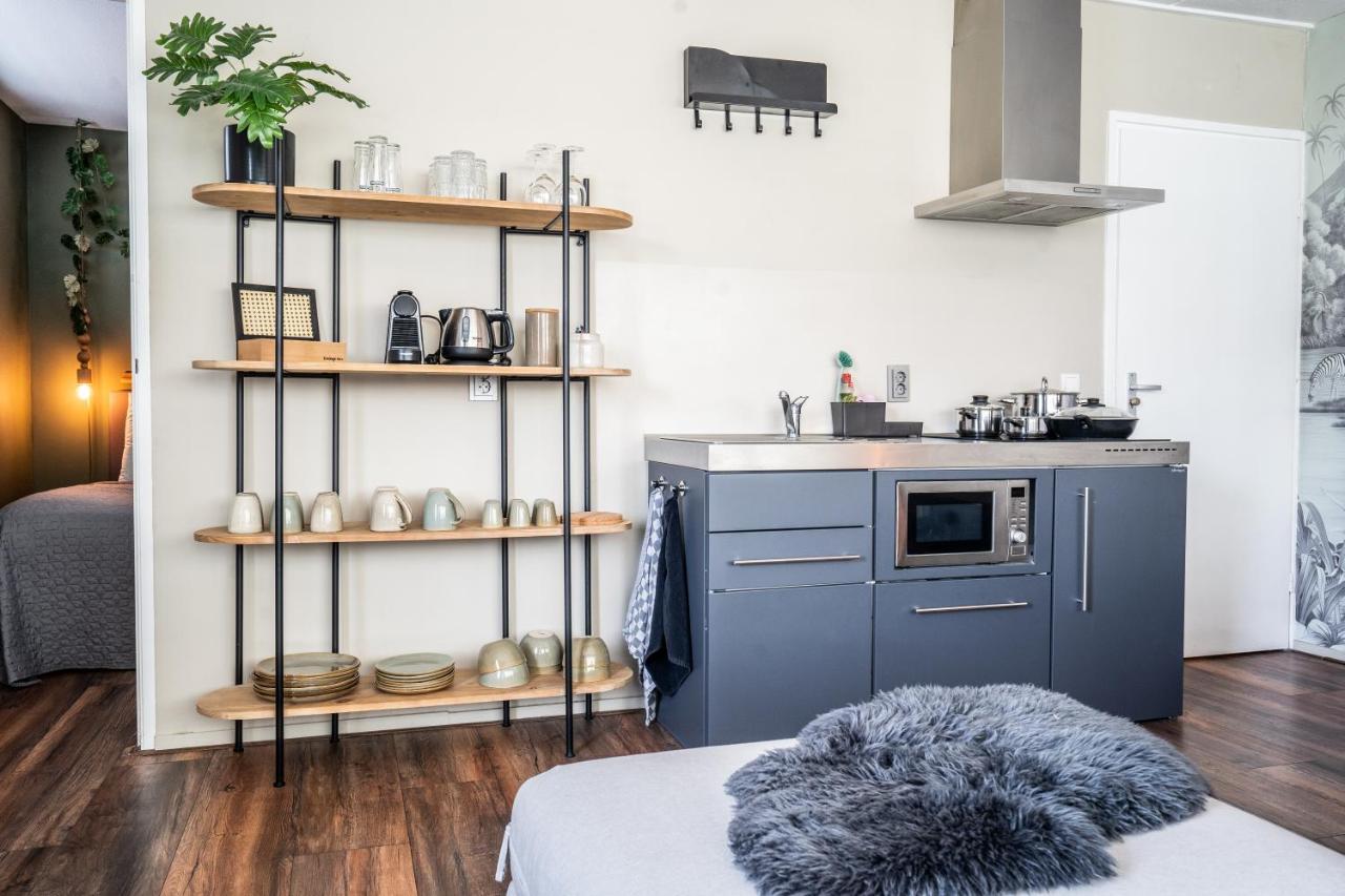 The Lion King - 6 Person Linked Apartment With Roof Terrace 흐로닝언 외부 사진